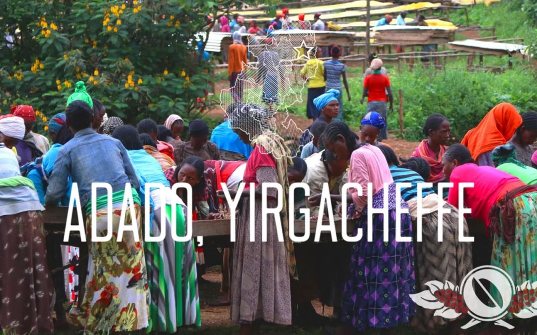 Adado, Yirgacheffe, Ethiopia