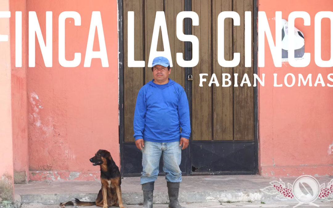 Fabian Lomas: Finca Las Cinco, Ecuador