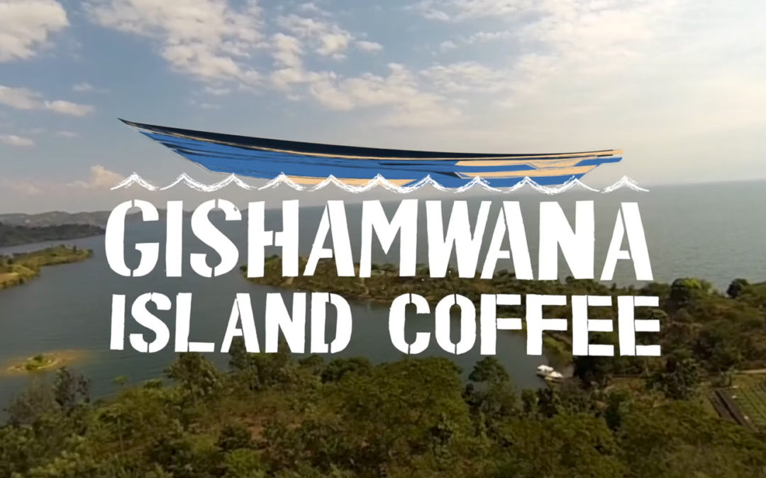 Gishamwana Island Coffee — Lake Kivu, Rwanda