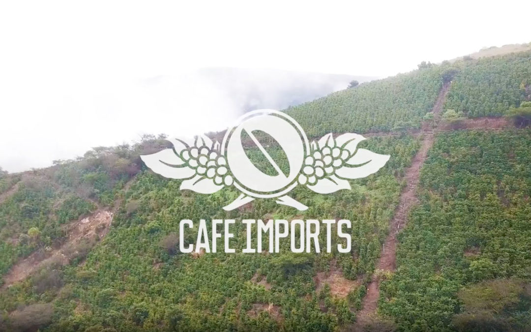 Cafe Imports Commercial 2018