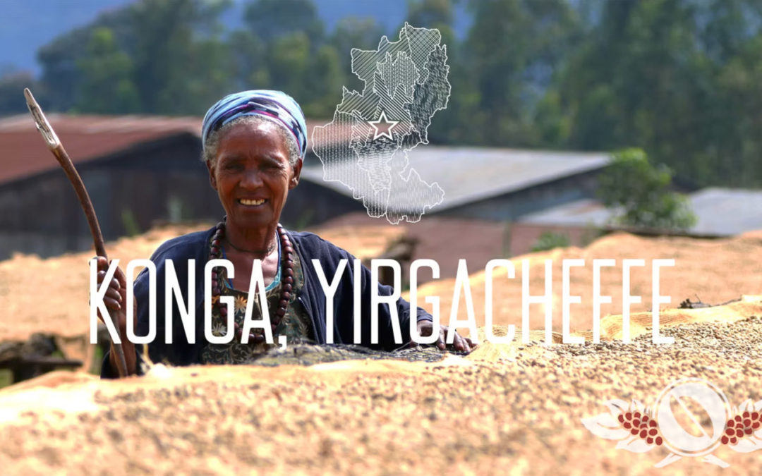 Konga, Yirgacheffe, Ethiopia