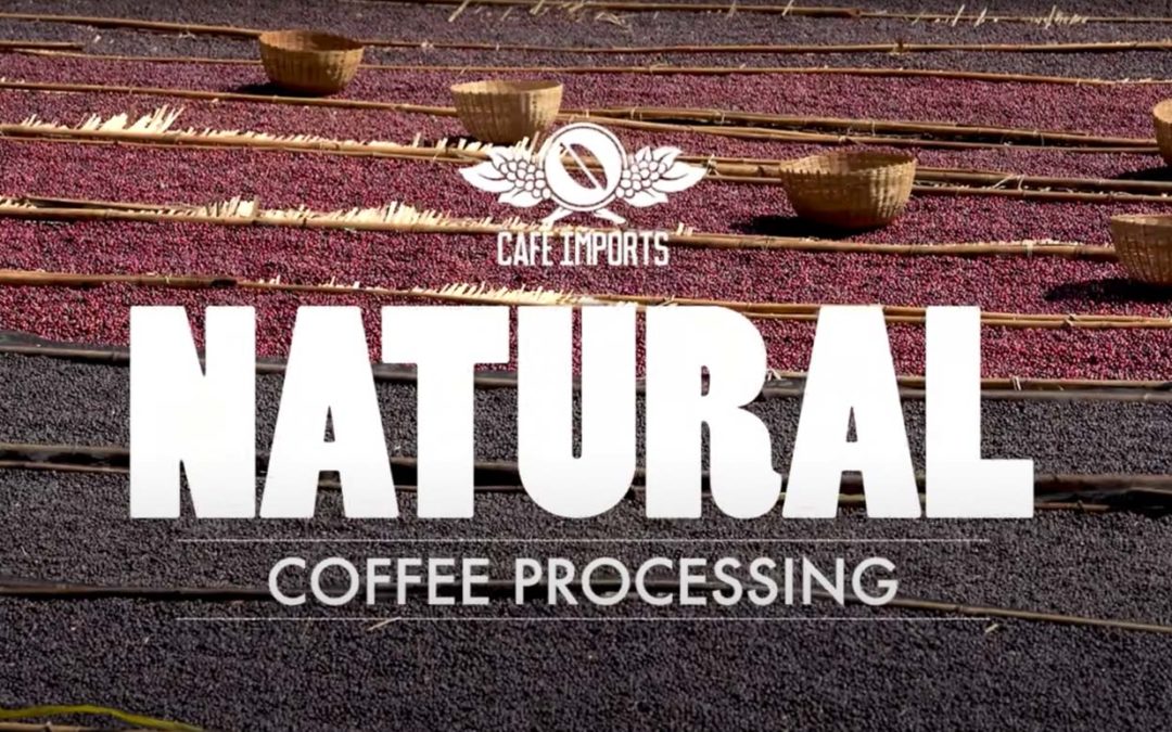 Natural Coffee Process