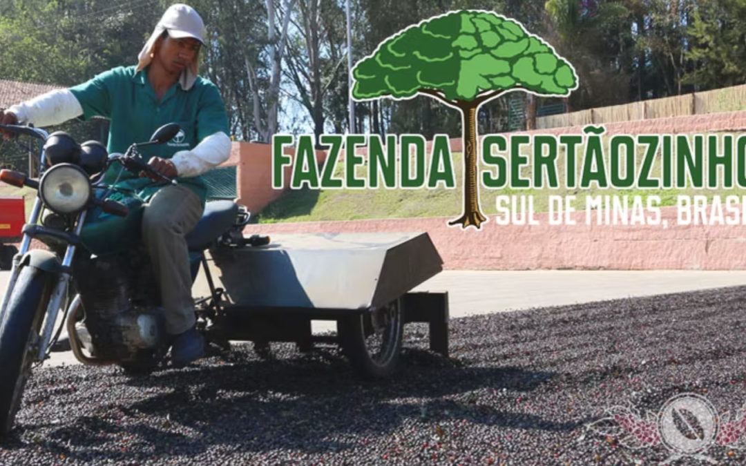 Fazenda Sertãozinho — Sul de Minas, Brazil