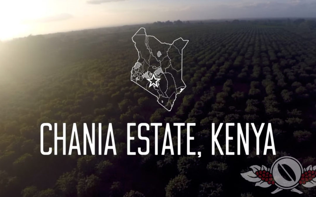 Boyce Harries’ Chania Estate — Thika, Kenya