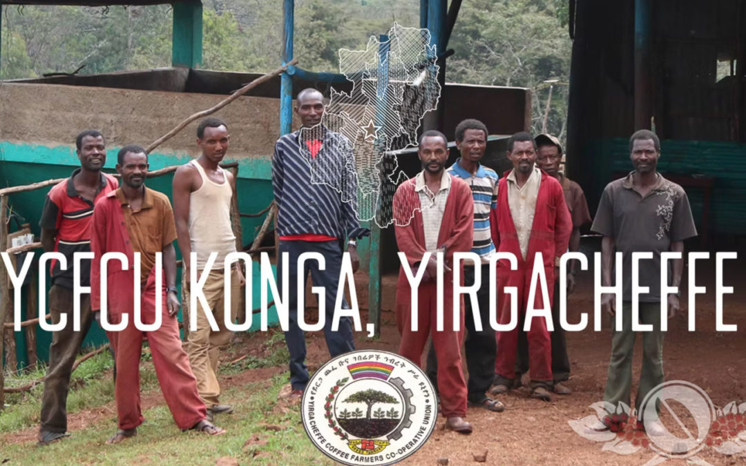 YCFCU Konga — Yirgacheffe, Ethiopia